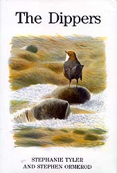 THE DIPPERS 1