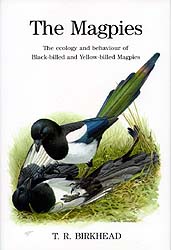 THE MAGPIES. THE ECOLOGY AND BEHAVIOUR OF BLACK-BILLED AND YELLOW-BILLED MAGPIES 1