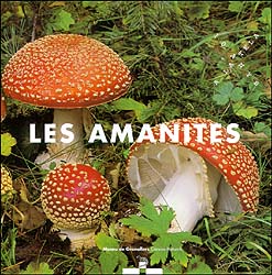 LES AMANITES 1