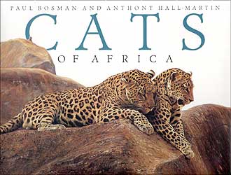CATS OF AFRICA 1