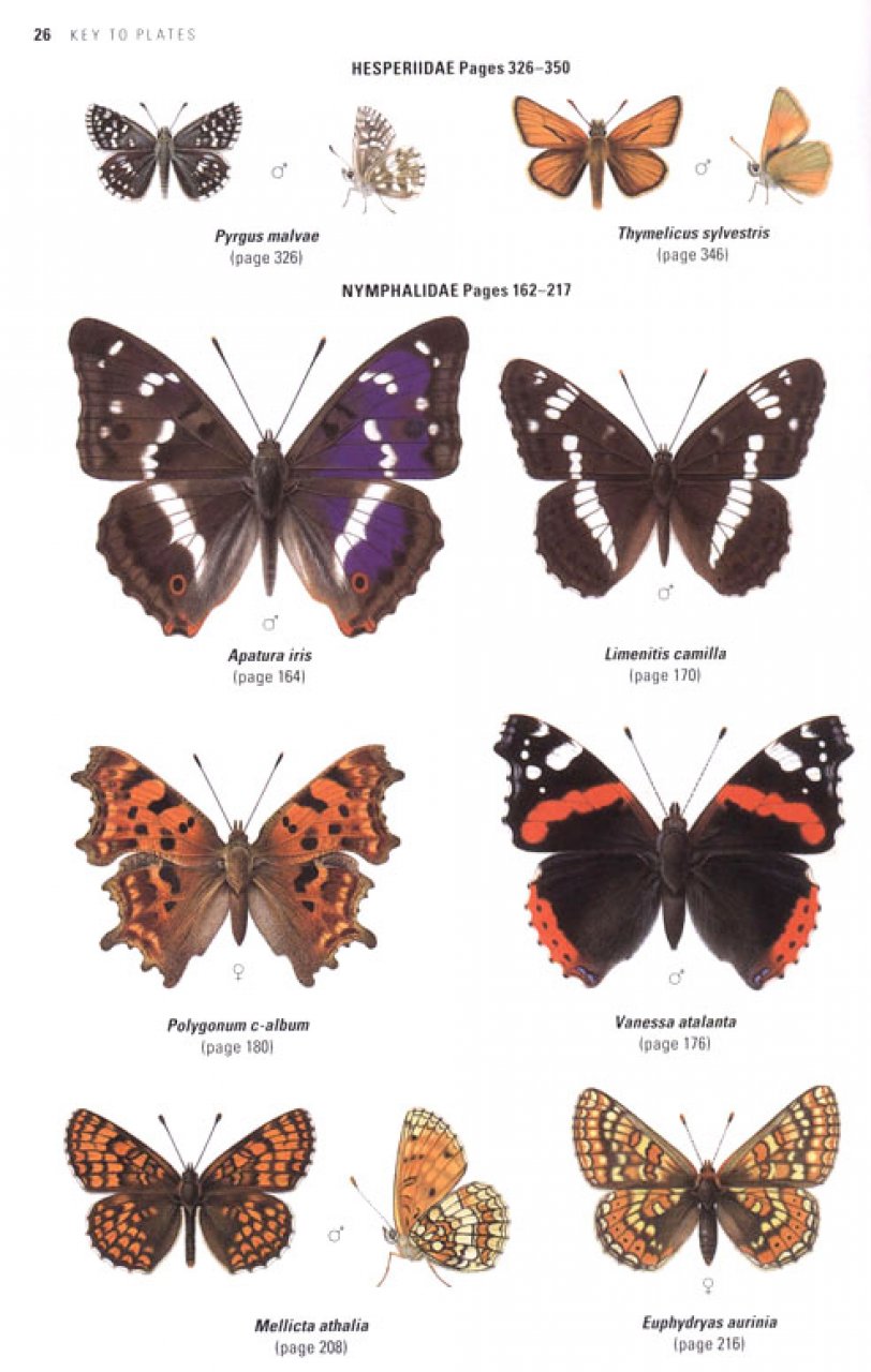 COLLINS BUTTERFLY GUIDE. THE MOST COMPLETE GUIDE TO THE BUTTERFLIES OF BRITAIN AND EUROPE 3