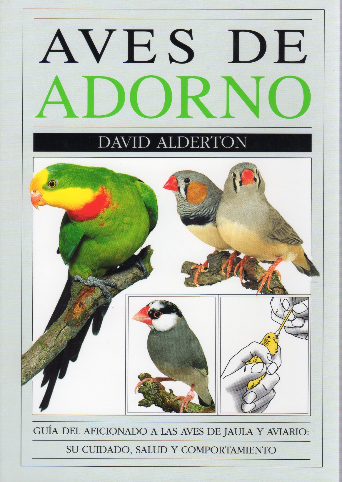 AVES DE ADORNO 1