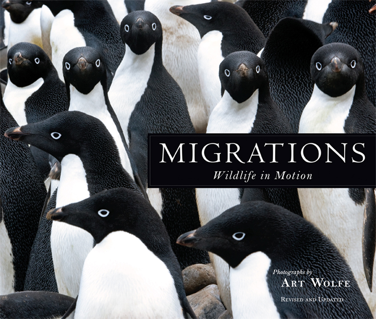 MIGRATIONS. WILDLIFE IN MOTION 1