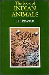 THE BOOK OF INDIAN ANIMALS 1