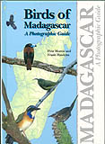 BIRDS OF MADAGASCAR. A PHOTOGRAPHIC GUIDE 1