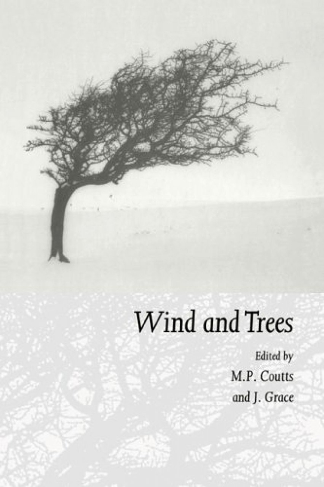 WIND AND TREES 1