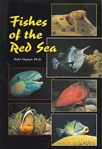 FISHES OF THE RED SEA 1
