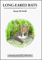 LONG-EARED BATS 1