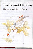 BIRDS AND BERRIES 1