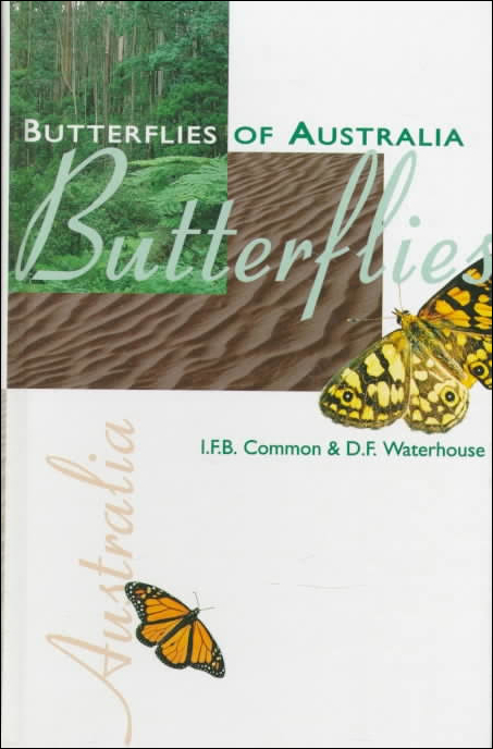 BUTTERFLIES OF AUSTRALIA. 1