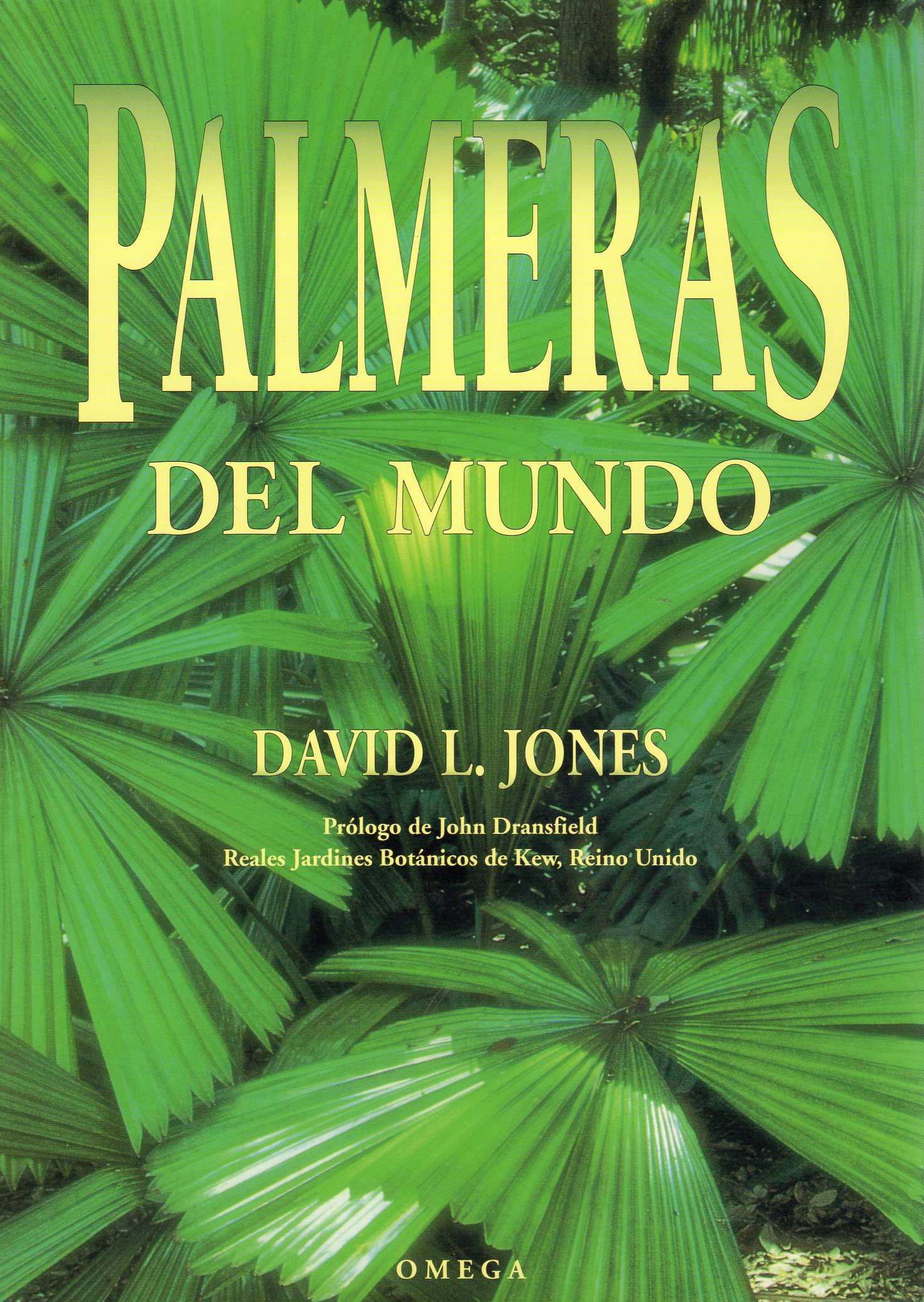PALMERAS DEL MUNDO 1
