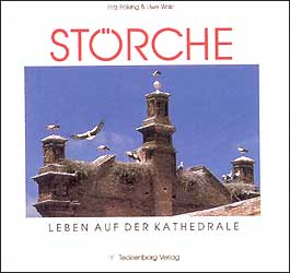 STÖRCHE 1