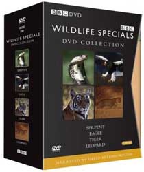 BBC DVD WILDLIFE SPECIALS. DVD COLLECTION: SERPENT, EAGLE, TIGER, LEOPARD 1