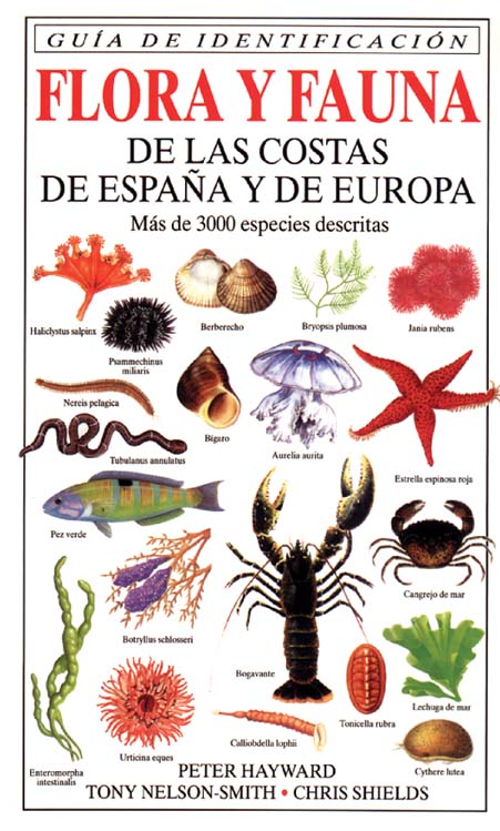 FLORA Y FAUNA DE LAS COSTAS DE ESPAÑA Y DE EUROPA 1