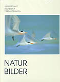 NATUR BILDER 1