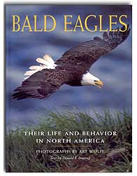 BALD EAGLES. THEIR LIFE AND BEHAVIOR IN NORTH AMERICA 1