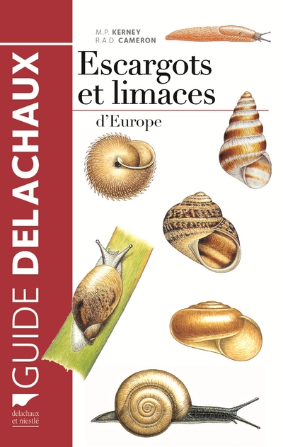 ESCARGOTS ET LIMACES D'EUROPE 1