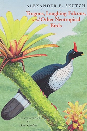 TROGONS, LAUGHING FALCONS, AND OTHER NEOTROPICAL BIRDS 1
