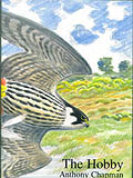 THE HOBBY 1