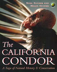 THE CALIFORNIA CONDOR. A SAGA OF NATURAL HISTORY AND CONSERVATION 1