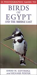 A PHOTOGRAPHIC GUIDE TO BIRDS OF EGYPT AND THE MIDDLE EAST 1