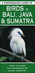 A PHOTOGRAPHIC GUIDE TO BIRDS OF JAVA, SUMATRA AND BALI 1