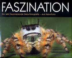 FASZINATION EIN JAHR 2