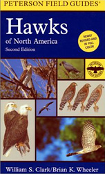 PETERSON FIELD GUIDES. HAWKS OF NORTH AMERICA 1