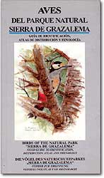 AVES DEL PARQUE NATURAL SIERRA DE GRAZALEMA. GUÍA DE IDENTIFICACIÓN. ATLAS DE DISTRIBUCIÓN Y FENOLOGÍA 1