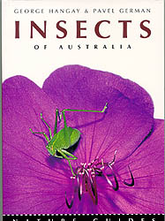 INSECTS OF AUSTRALIA 1