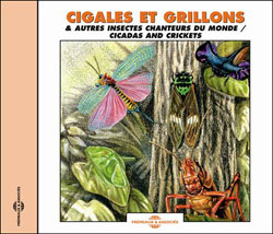 CD CIGALES ET GRILLONS &AMP; AUTRES INSECTES CHANTEURS DU MONDE/CICADAS AND CRICKETS 1