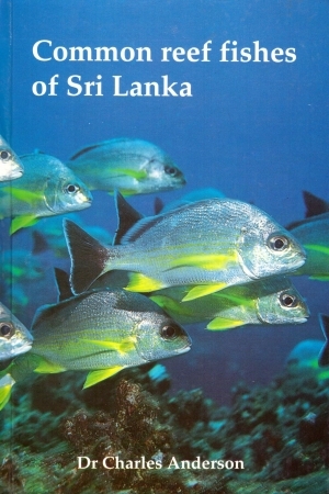COMMON REEF FISHES OF SRI LANKA 1