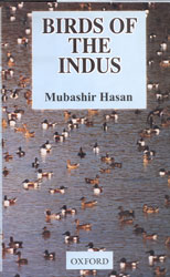 BIRDS OF THE INDUS 1