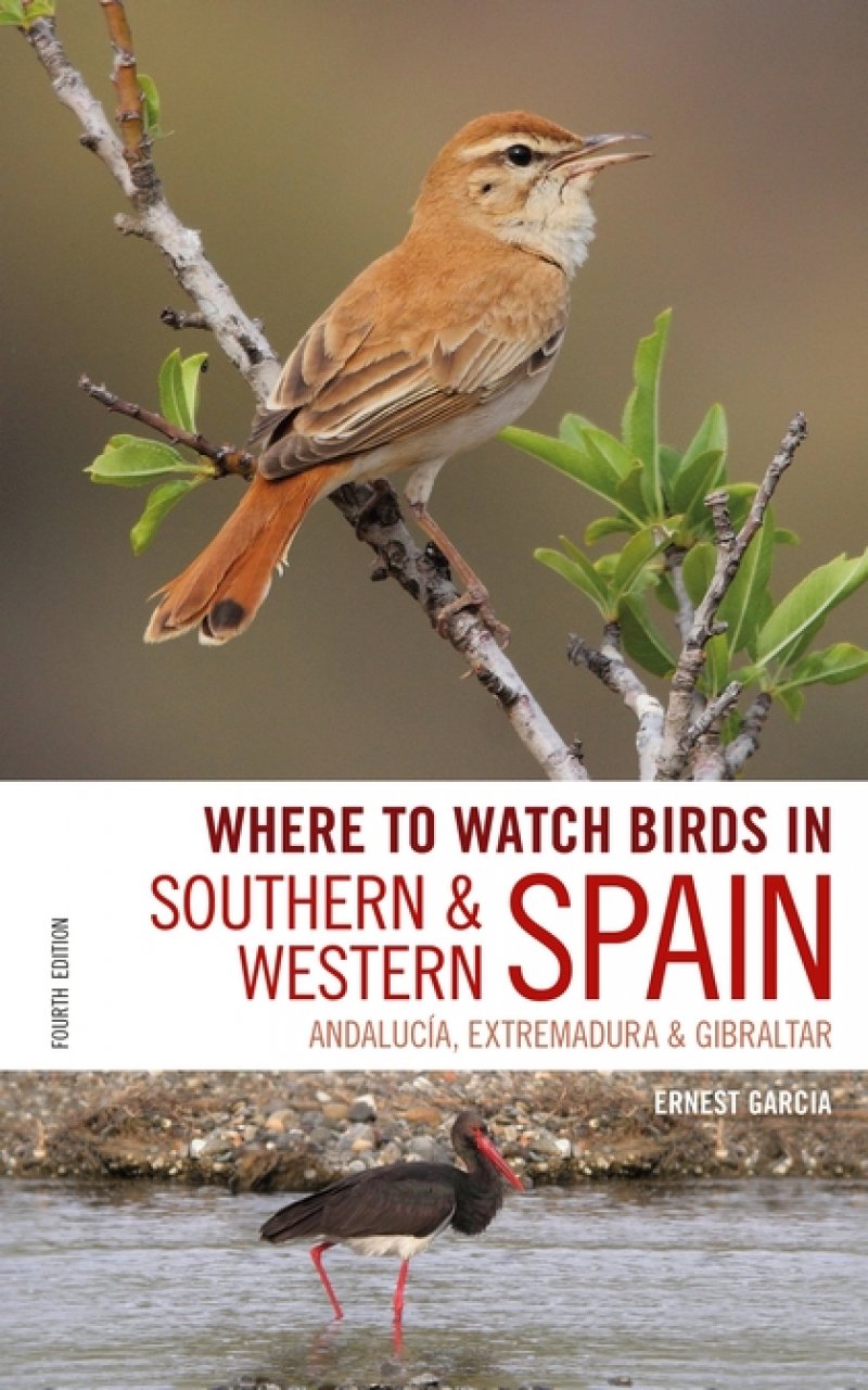 WHERE TO WATCH BIRDS IN SOUTHERN &AMP; WESTERN SPAIN. ANDALUCÍA, EXTREMADURA &AMP; GIBRALTAR 1