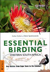 ESSENTIAL BIRDING WESTERN SOUTH AFRICA. KEY ROUTES FROM CAPE TOWN TO THE KALAHARI 1