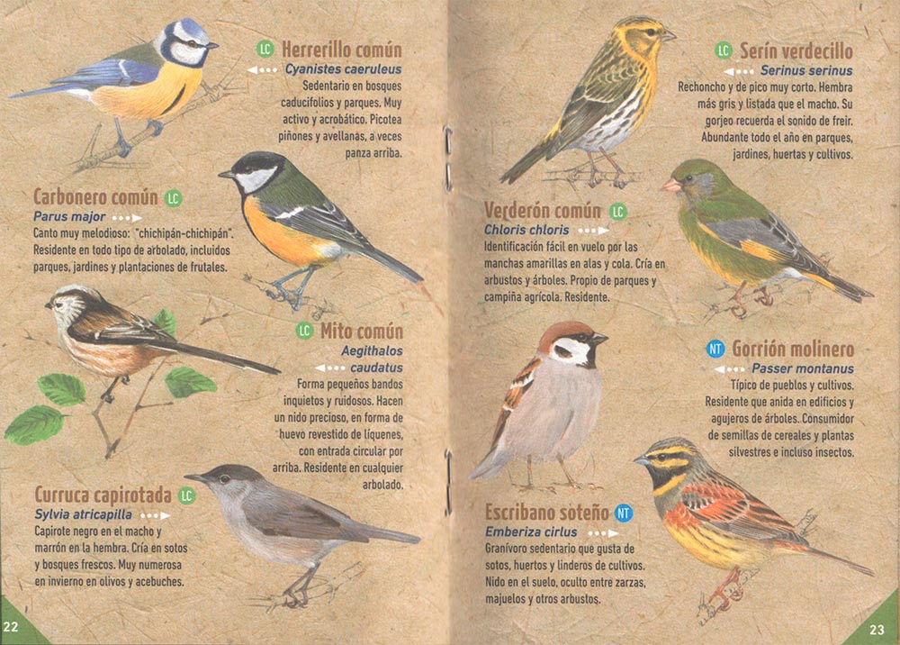 GUÍA DE LAS AVES COMUNES DE ESPAÑA 2