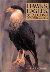 HAWKS, EAGLES, AND FALCONS OF NORTH AMERICA. BIOLOGY AND NATURAL HISTORY 1