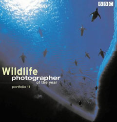 WILDLIFE PHOTOGRAPHER OF THE YEAR. PORTFOLIO 11 1
