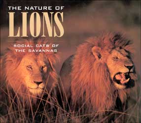 THE NATURE OF LIONS 1