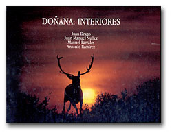 DOÑANA: INTERIORES 1