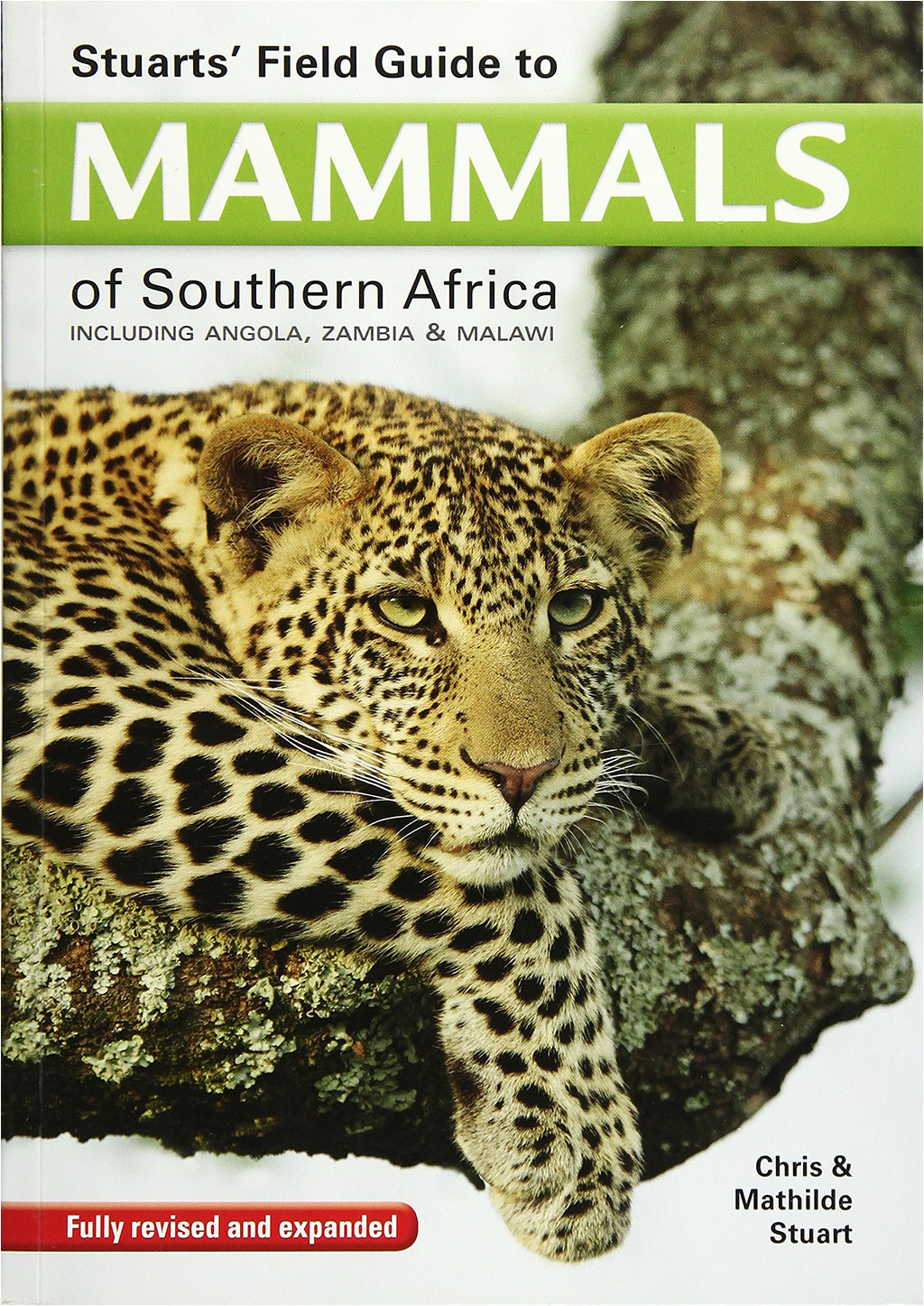 STUARTS' FIELD GUIDE TO MAMMALS OF SOUTHERN AFRICA 1