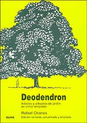 DEODENDRON. ÁRBOLES Y ARBUSTOS DE JARDÍN EN CLIMA TEMPLADO 1