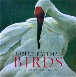 ROBERT BATEMAN. BIRDS 1