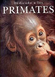 DEDICADO A LOS PRIMATES 1