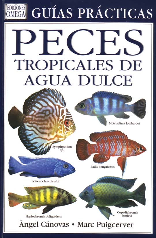 PECES TROPICALES DE AGUA DULCE 1