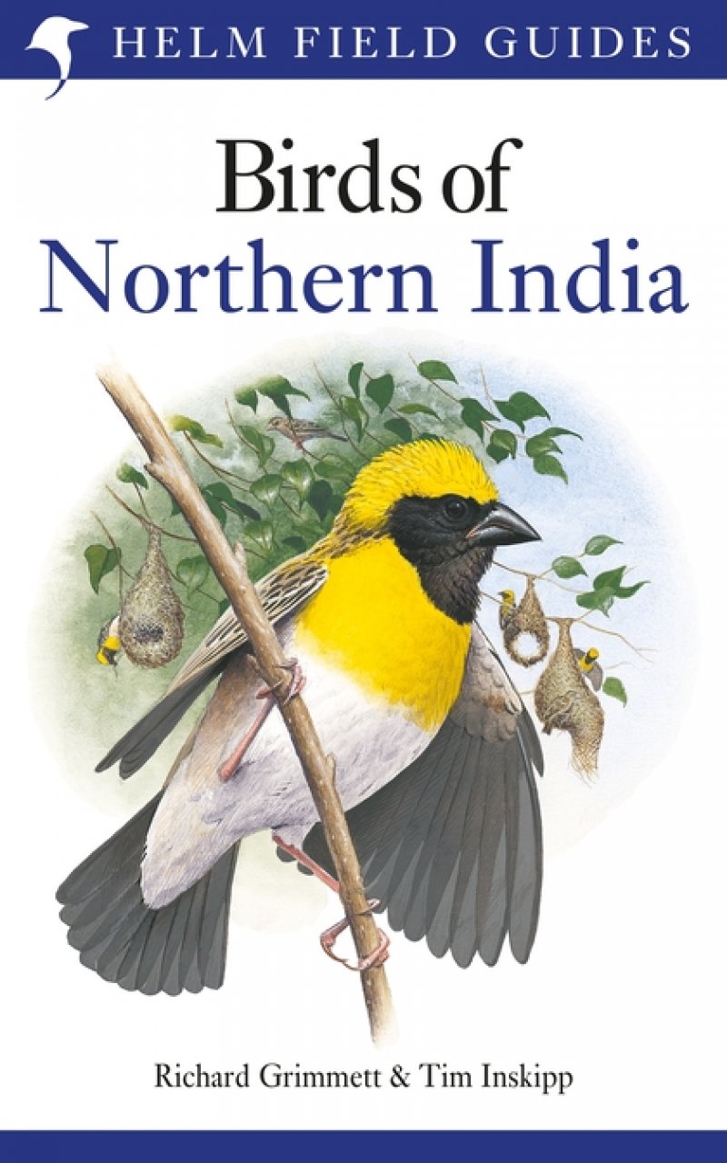 HELM FIELD GUIDES. BIRDS OF NORTHERN INDIA 1