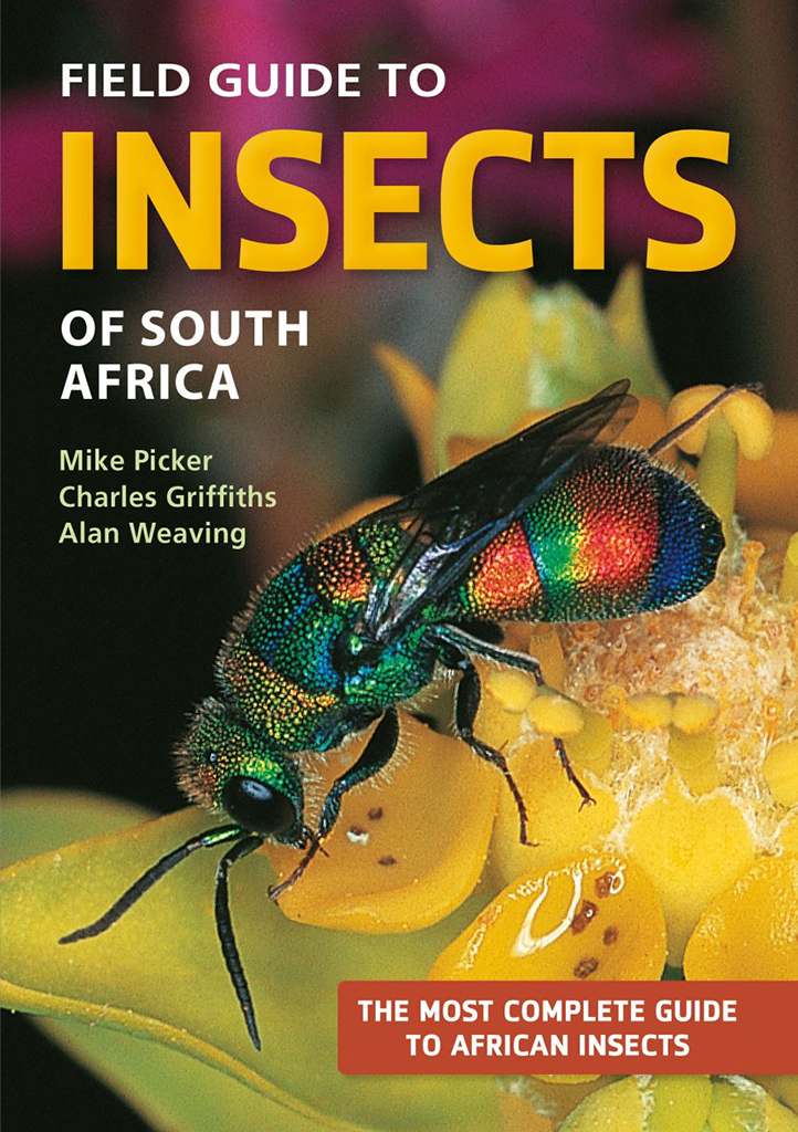 A FIELD GUIDE TO INSECTS OF SOUTH AFRICA. UPDATED 2004. THE FIRST COMPREHENSIVE GUIDE TO AFRICAN INSECTS WITH FULL-COLOUR PHOTOGRAPHS OF OVER 1200 SPE 1