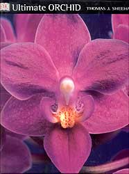 ULTIMATE ORCHID 1