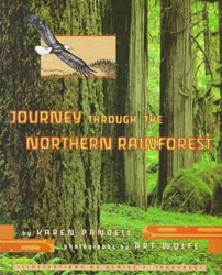 JOURNEY THROUGH THE NORTHERN RAINFOREST 1
