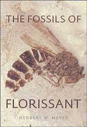 THE FOSSILS OF FLORISSANT 1